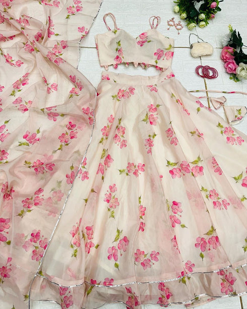 Dream Pink Pastel Lehnga choli