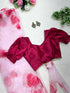 Organza Hearted Saree