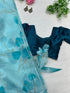 Organza Hearted Saree