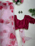 Organza Hearted Saree