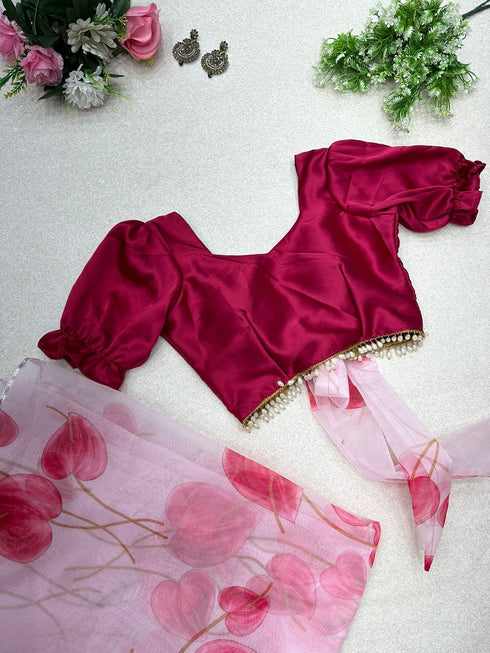 Organza Hearted Saree