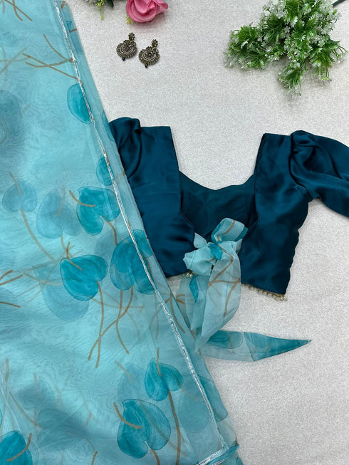 Organza Hearted Saree